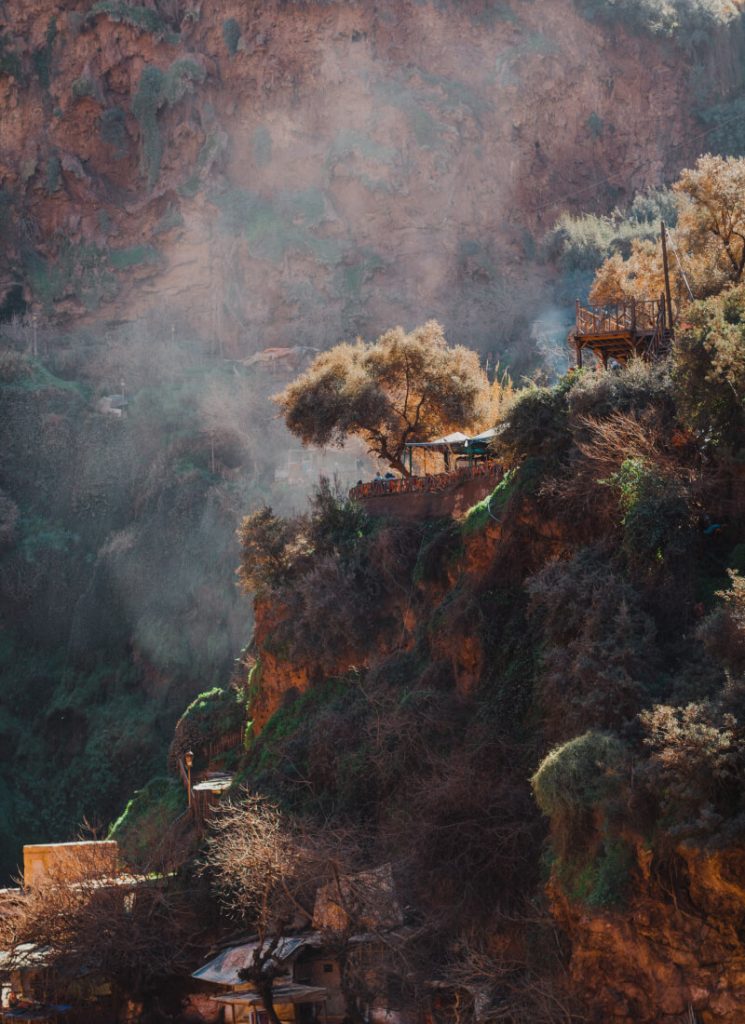 gallery 001 745x1024.jpg